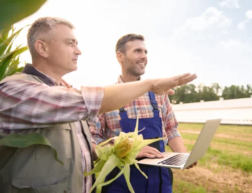 Publican una guía práctica para instalar agrovoltaica en explotaciones familiares